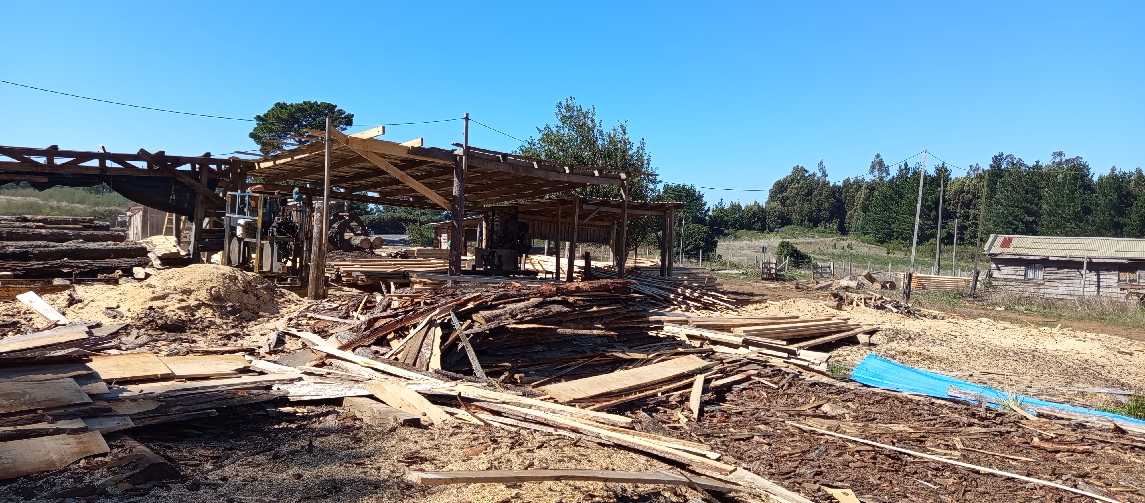 Aserradero particular del corredor Arauco-Curaquilla con residuos de pino radiata